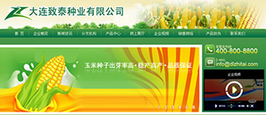 大连致泰种业有限公司