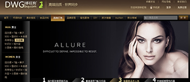 案例展示八