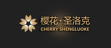 案例展示八
