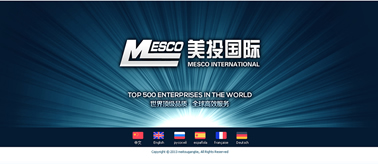 大连美投国际贸易有限公司